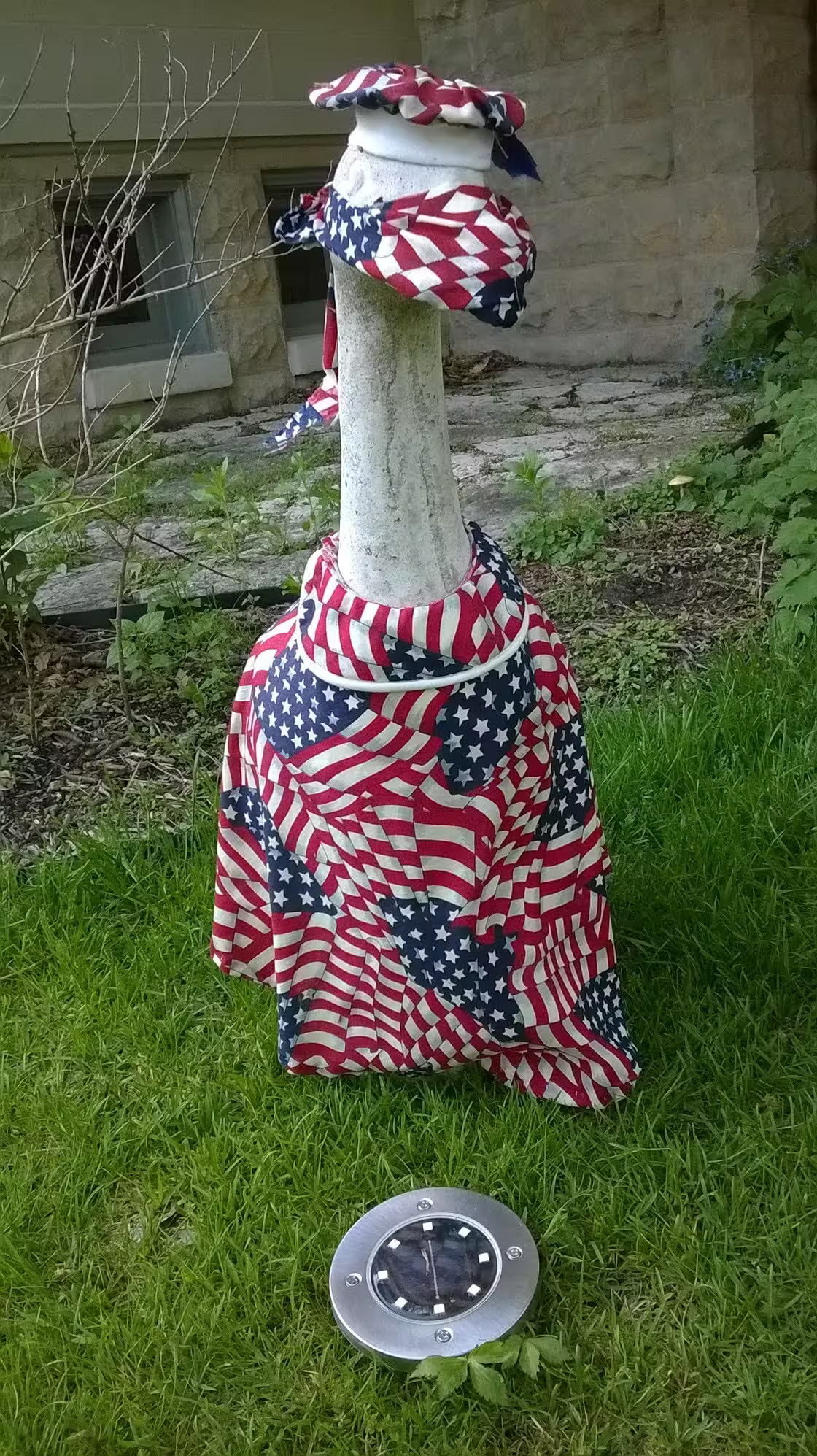 USA Goose